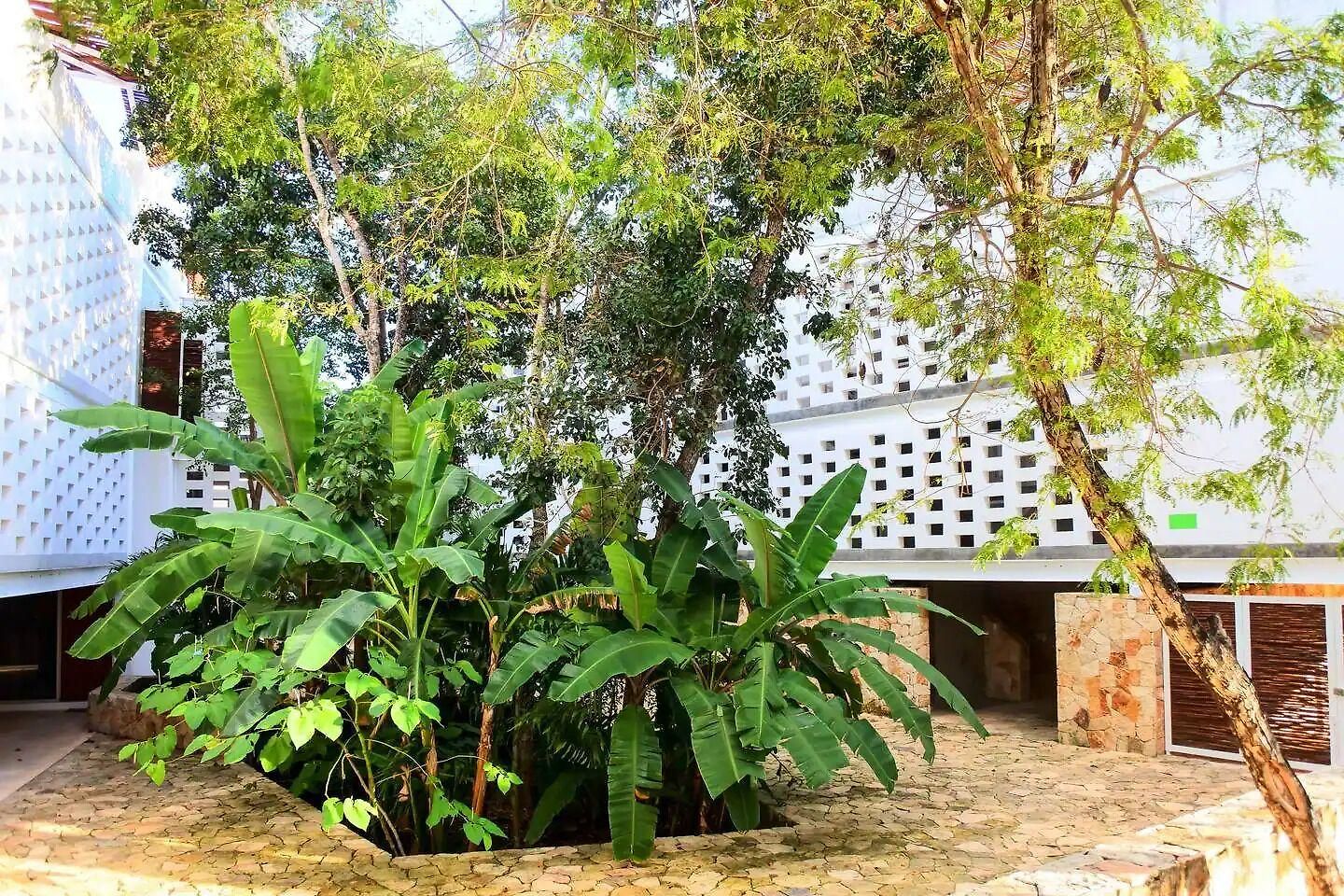 Casa De Piedra 4* Tulum