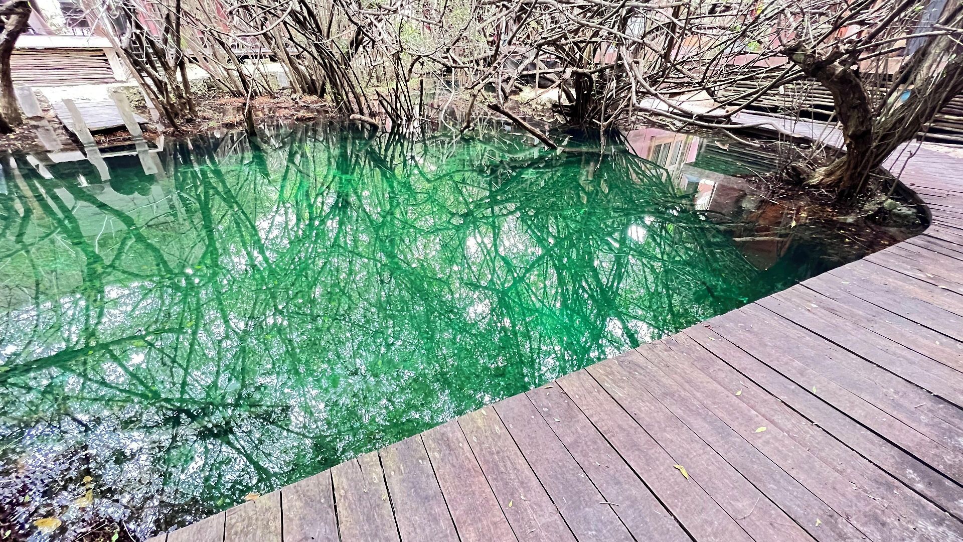 Caiman Habitat Hotel 5*