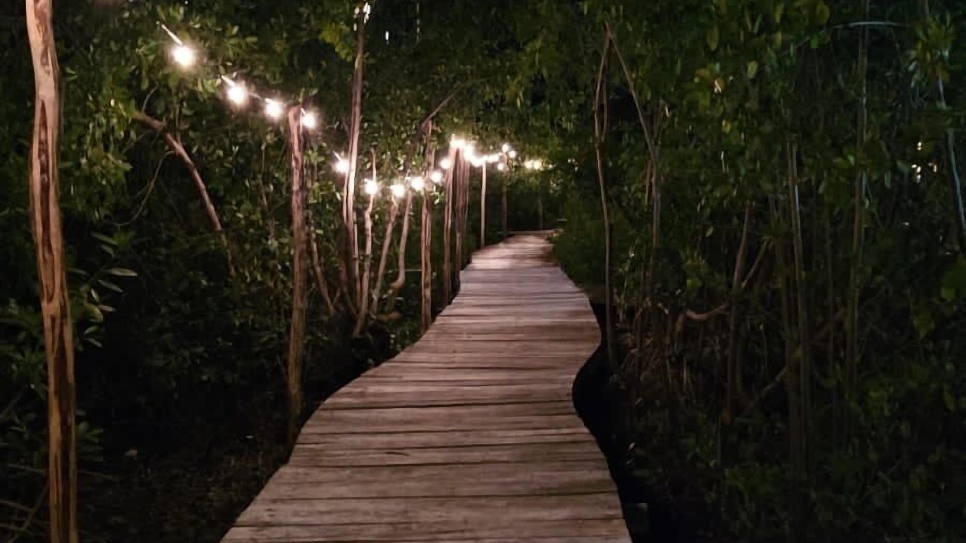 Hotel Caiman Habitat