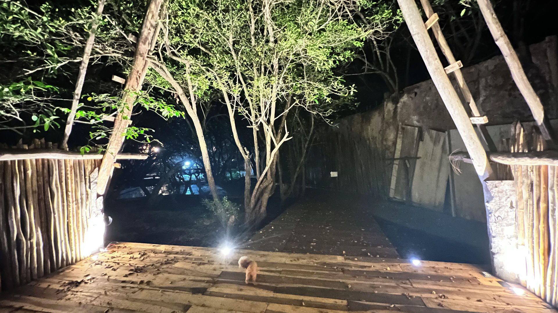 Hotel Caiman Habitat