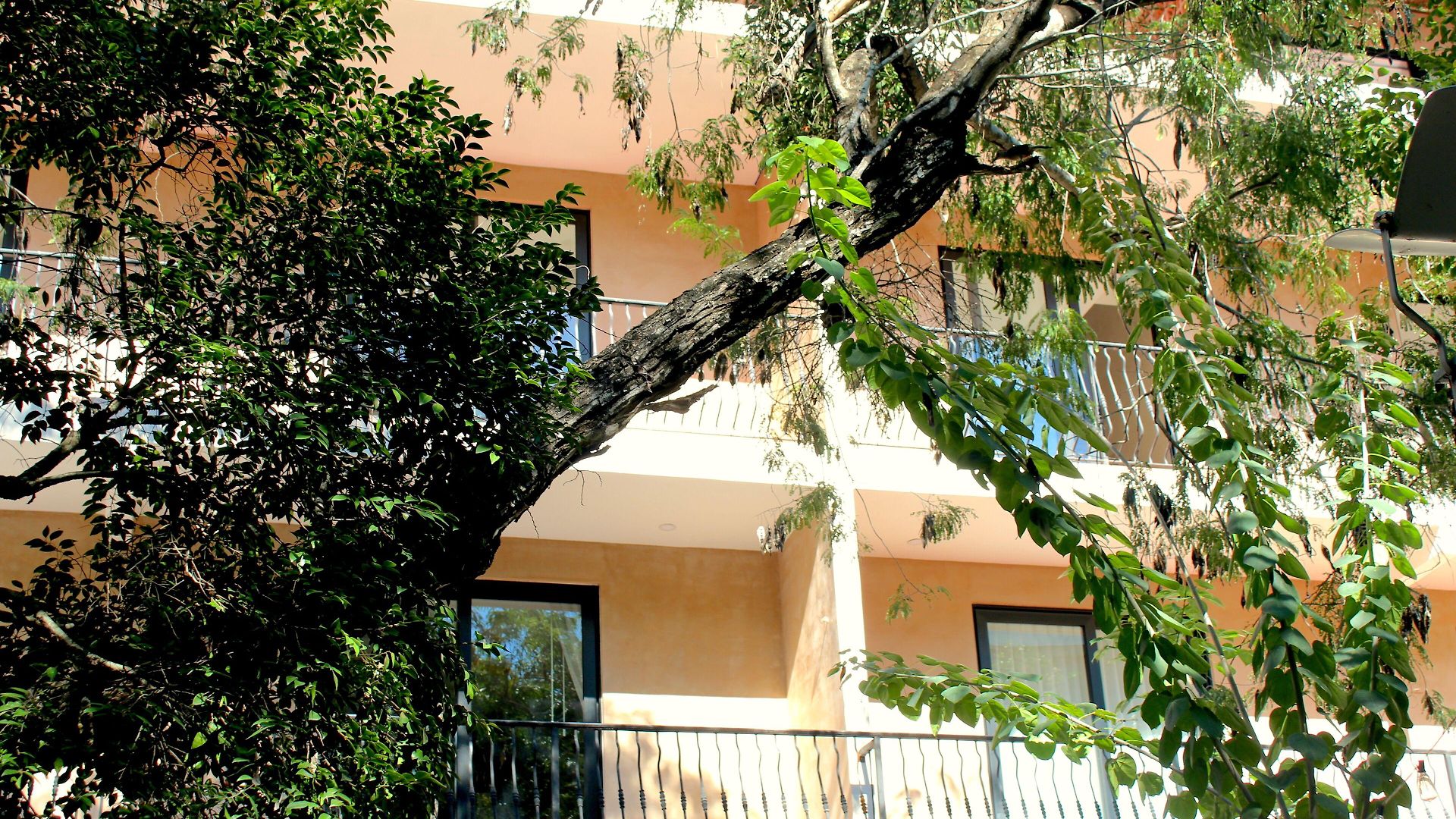 Calea Boutique Hotel Tulum