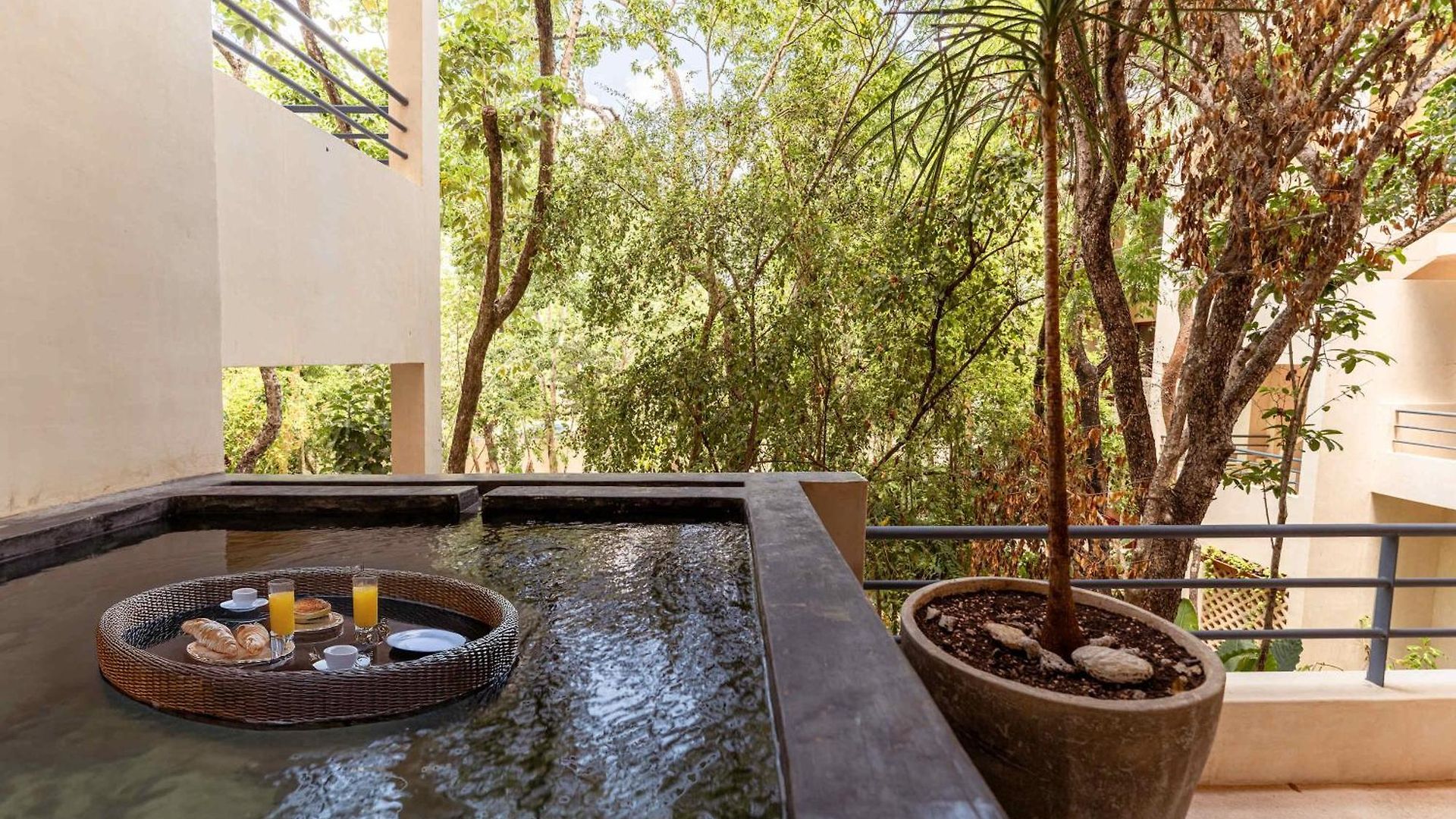 Ahal Holistika 3br Oasis With Plunge Pool Holiday home