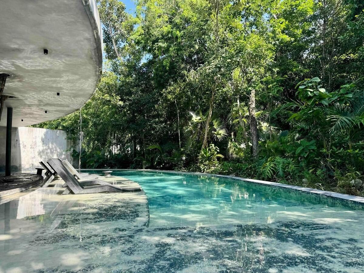 Villa Kataluum- Luxurious Eco-chic Ph With Pool Tulum