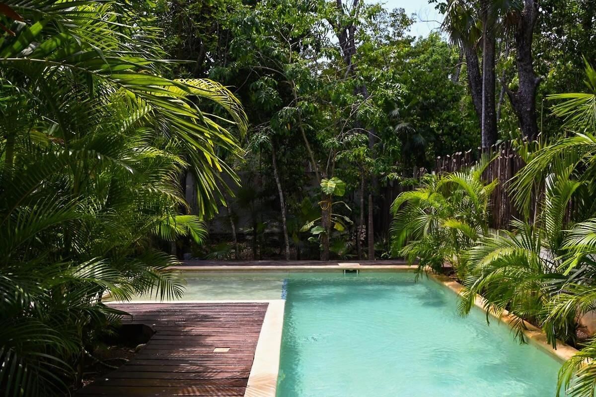 Mayan Culture With Rooftop Pool Tulum