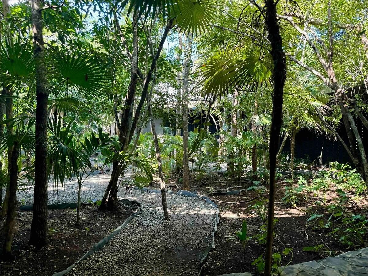Kataluum- Luxurious Eco-chic Ph With Pool * Tulum
