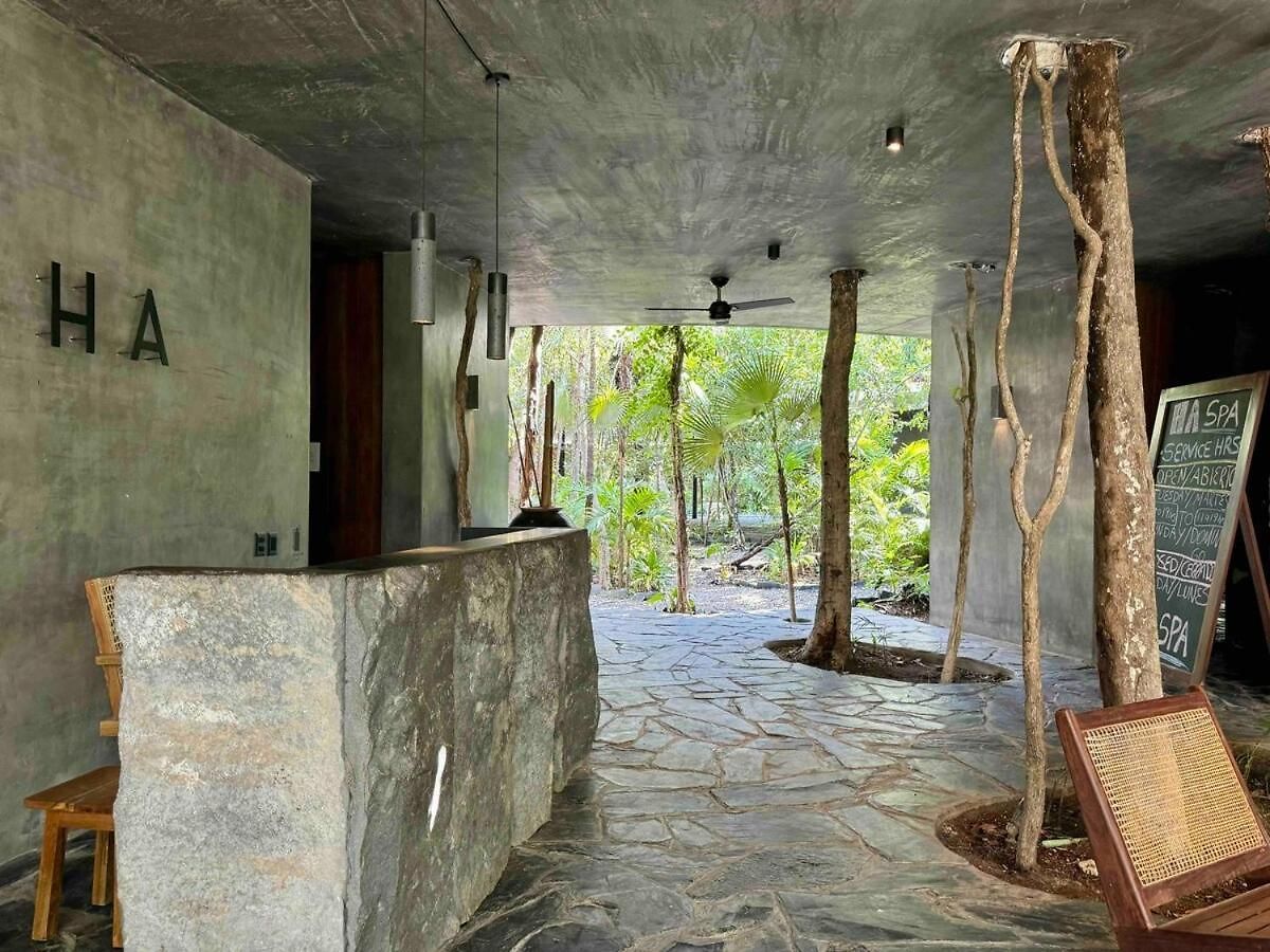 Kataluum- Luxurious Eco-chic Ph With Pool Villa Tulum