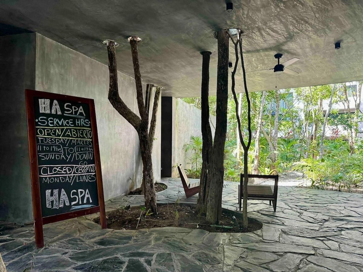 Kataluum- Luxurious Eco-chic Ph With Pool Tulum
