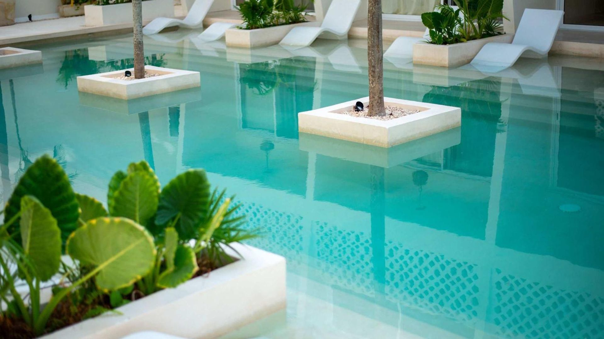 Apartment Luxury Jungle With Shared Pool