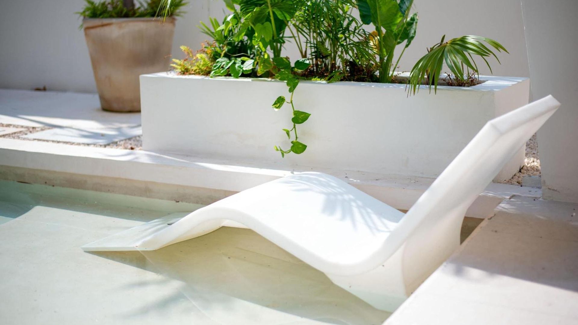 Luxury Jungle With Shared Pool Apartment