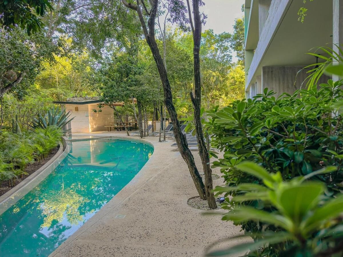 Dream House! Sweet, Calm Ph, Private Pool, Cenote Apartment Tulum
