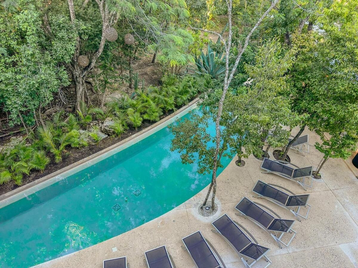 Apartment Dream House! Sweet, Calm Ph, Private Pool, Cenote