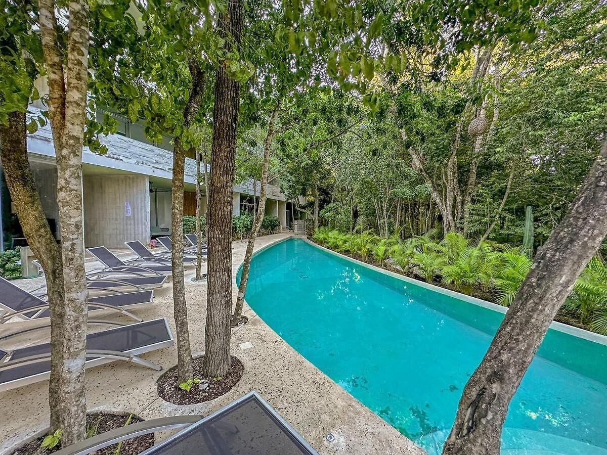Apartment Dream House! Sweet, Calm Ph, Private Pool, Cenote *