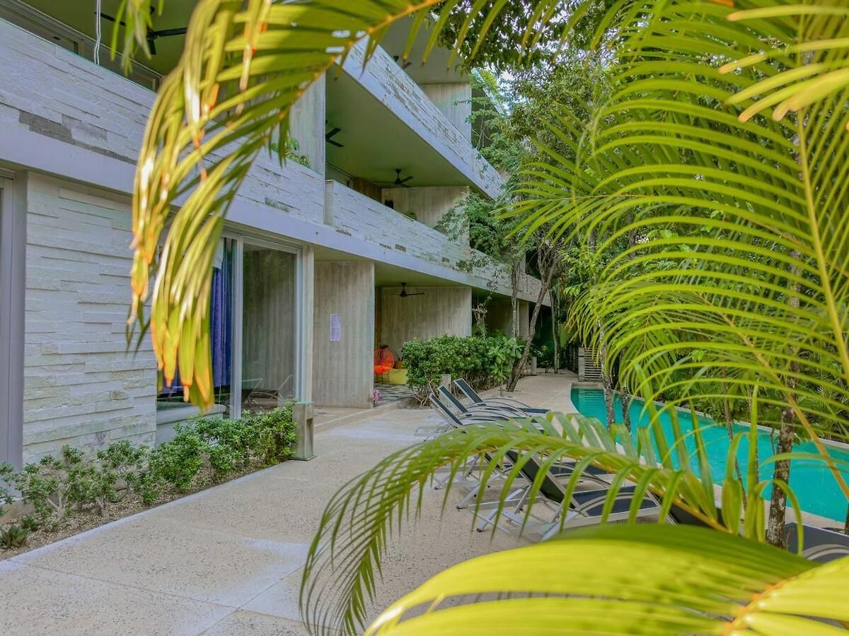 Apartment Dream House! Sweet, Calm Ph, Private Pool, Cenote *