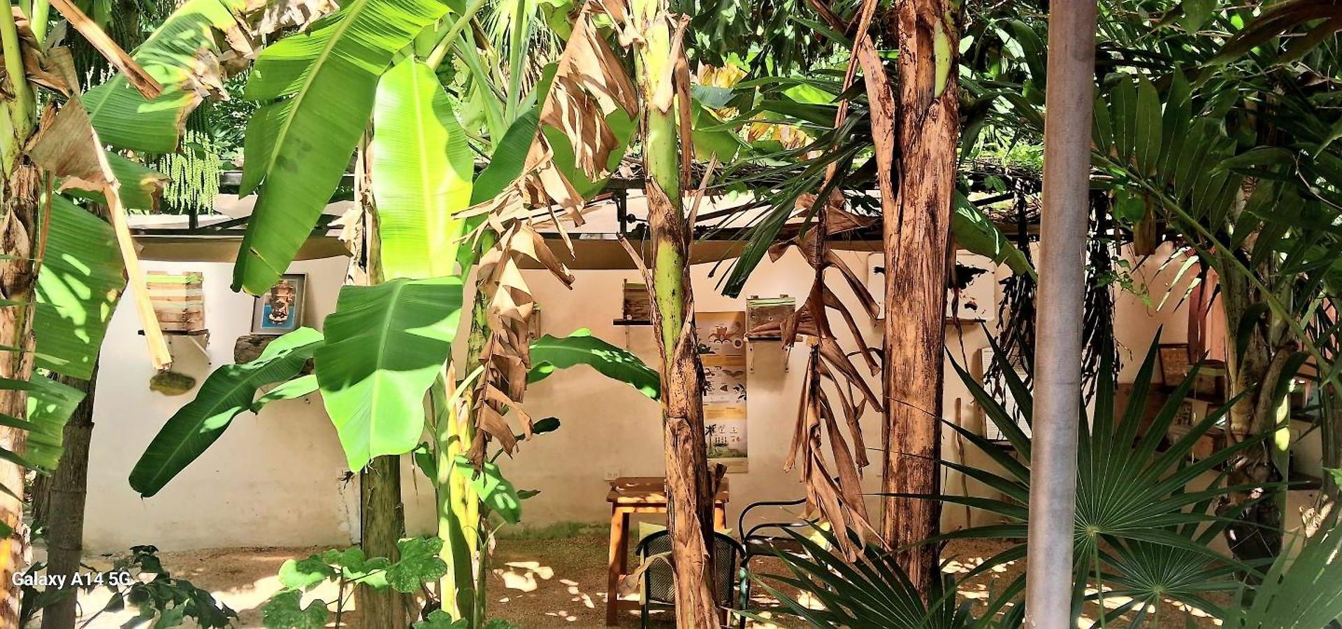 Casa Don Diego Tulum