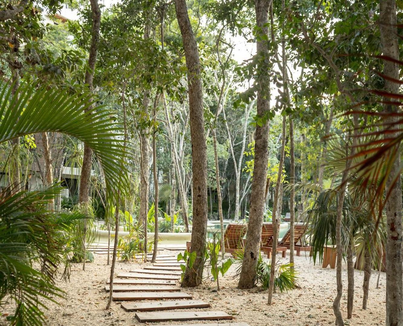 1 Bedroom-tulum-private Pool Tulum