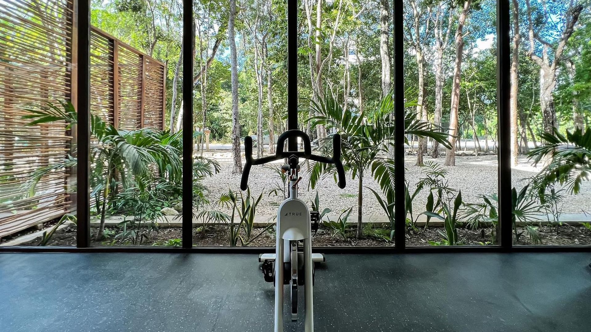 Gated 2br With Rooftop Pool Tulum