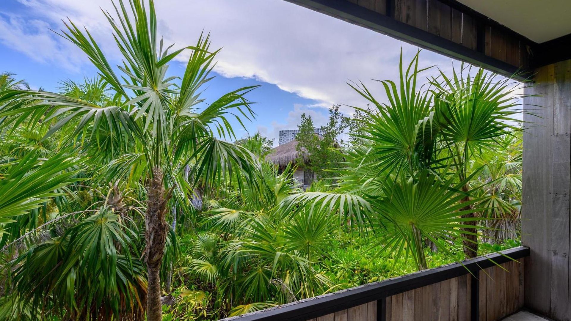 Vida Silvestre Tulum