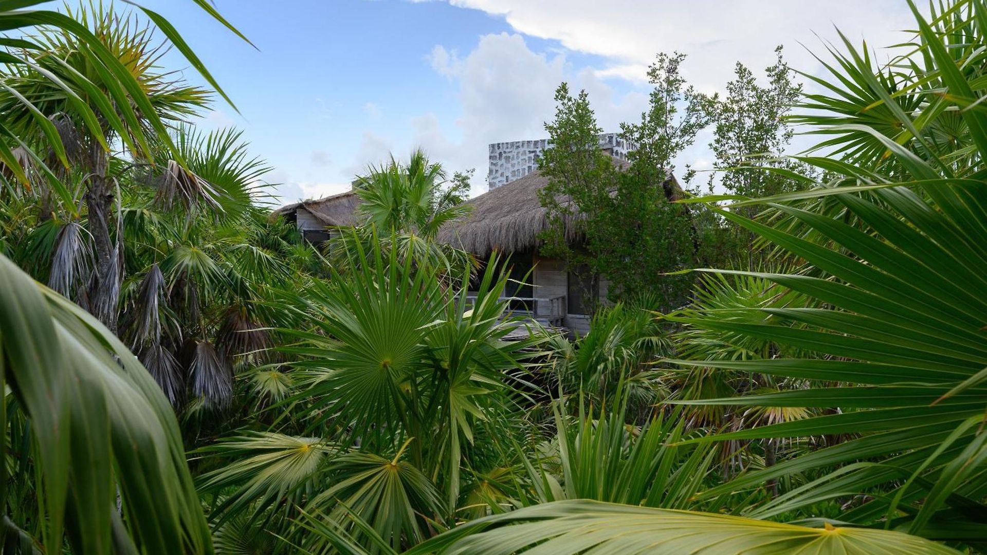 Vida Silvestre Lodge *