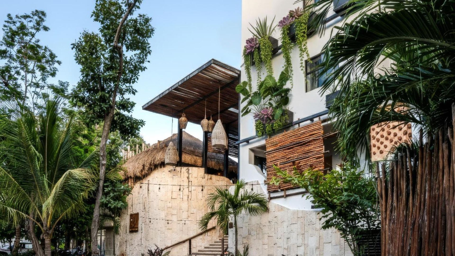 Mayan Monkey - Social (adults Only) *