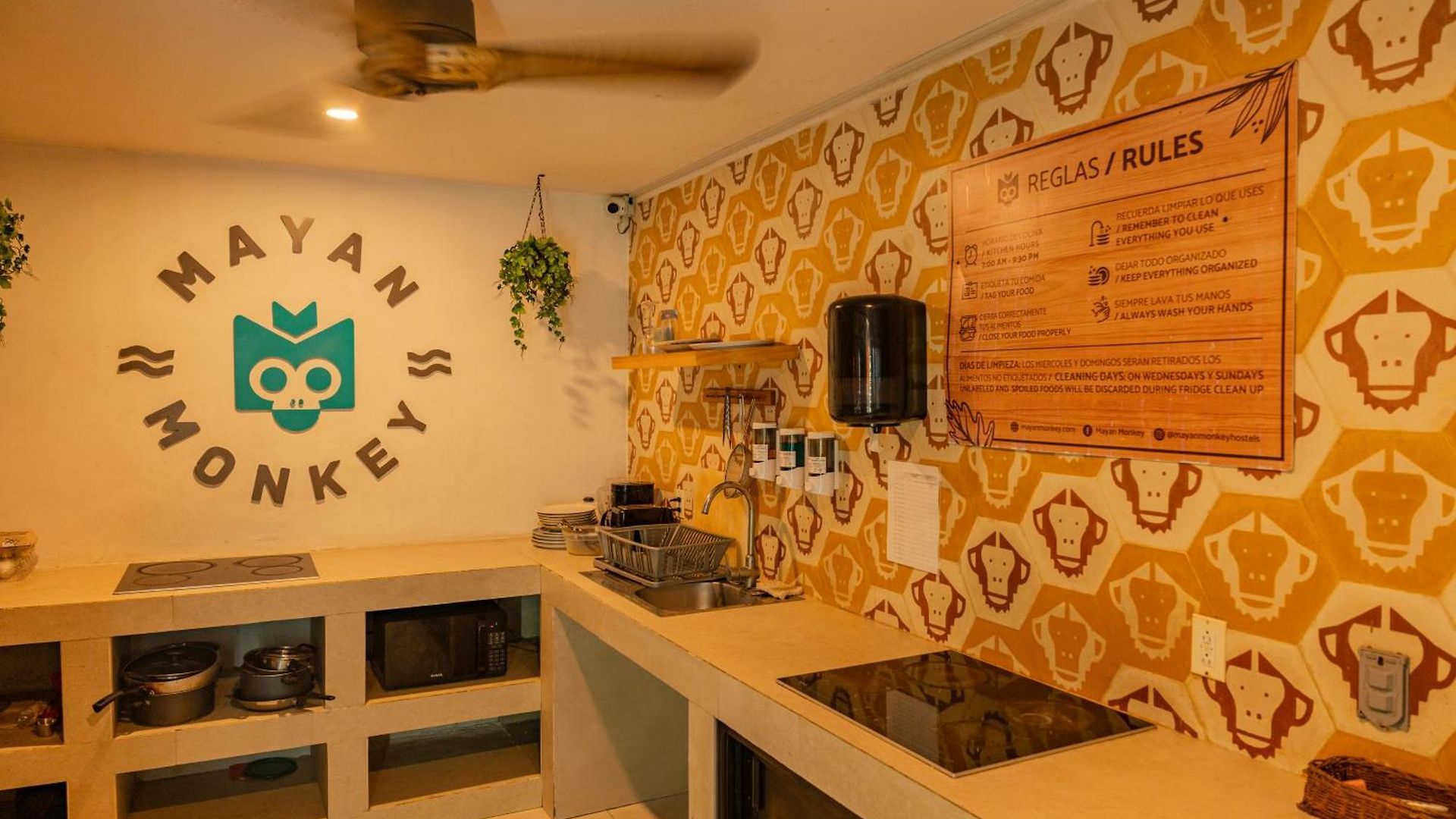 Mayan Monkey - Social (adults Only)