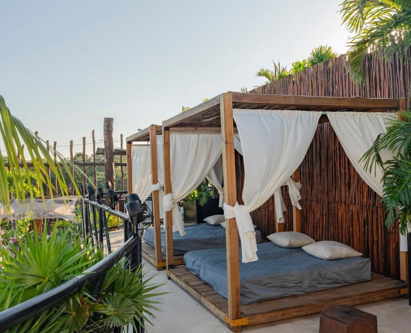 Mayan Monkey - Social (adults Only) Hostal *