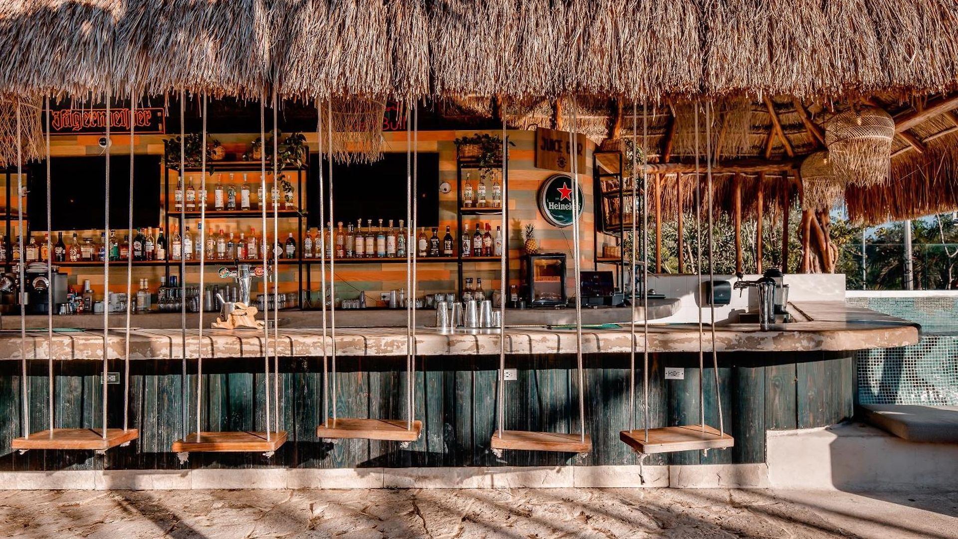 Mayan Monkey - Social (adults Only) Hostal