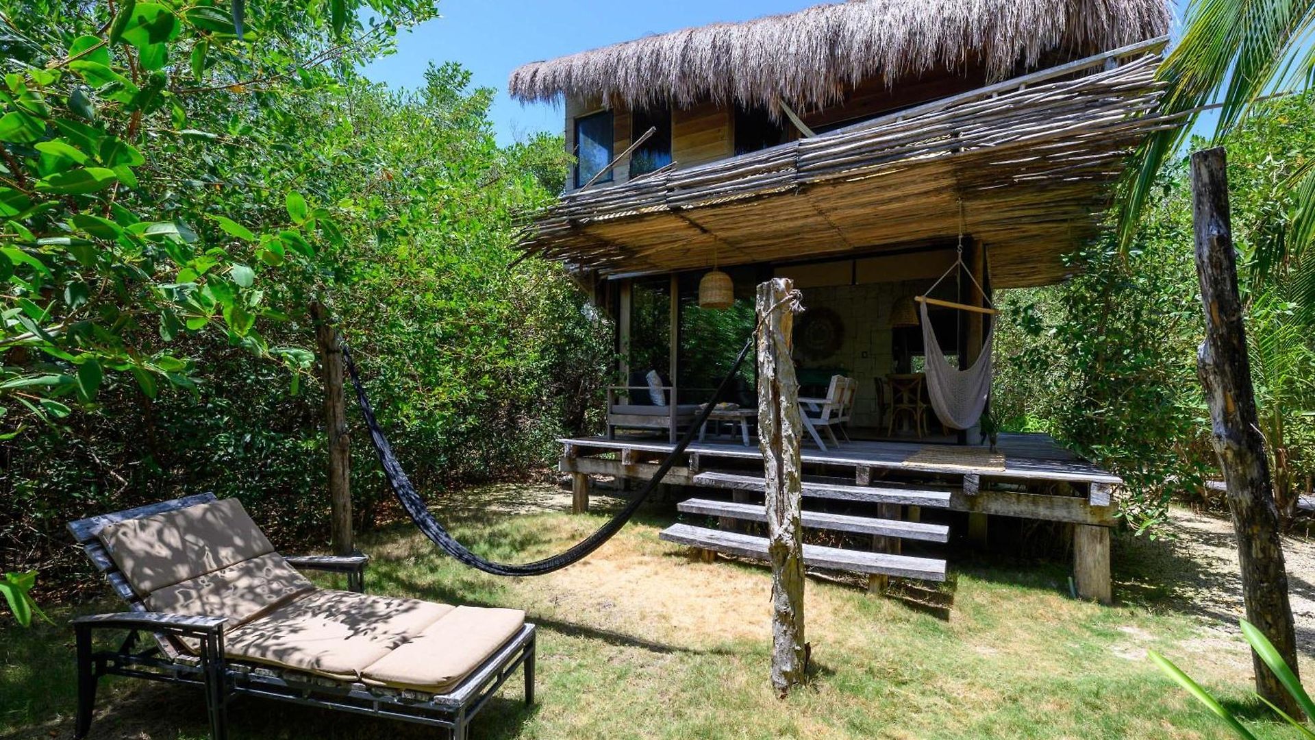Vida Silvestre * Tulum