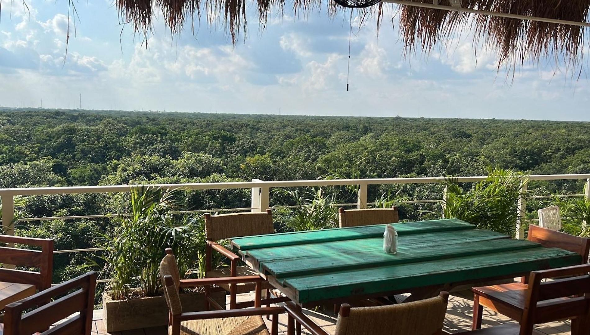 Hotel Siente & Cenote Club