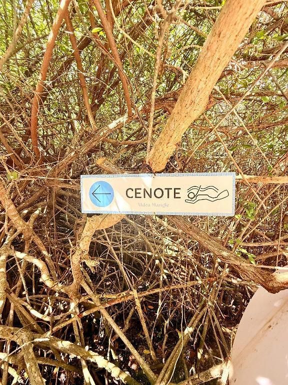 - Aldea Mangle&cenote Lodge