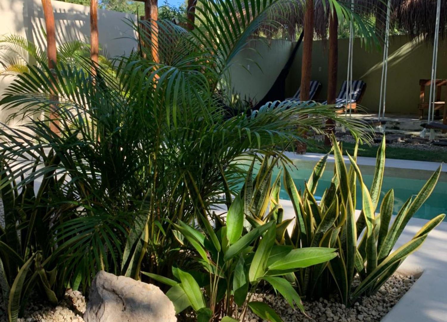 Holiday home Casa Calu Cozy & Confortable Jungle House With Pooll