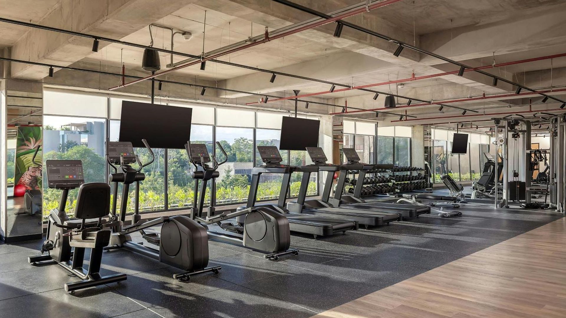Moxy 4*