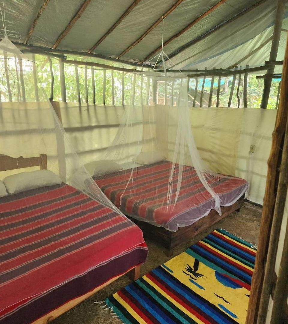 Camping Zapote En Rancho Jaguares Jungle Retreat