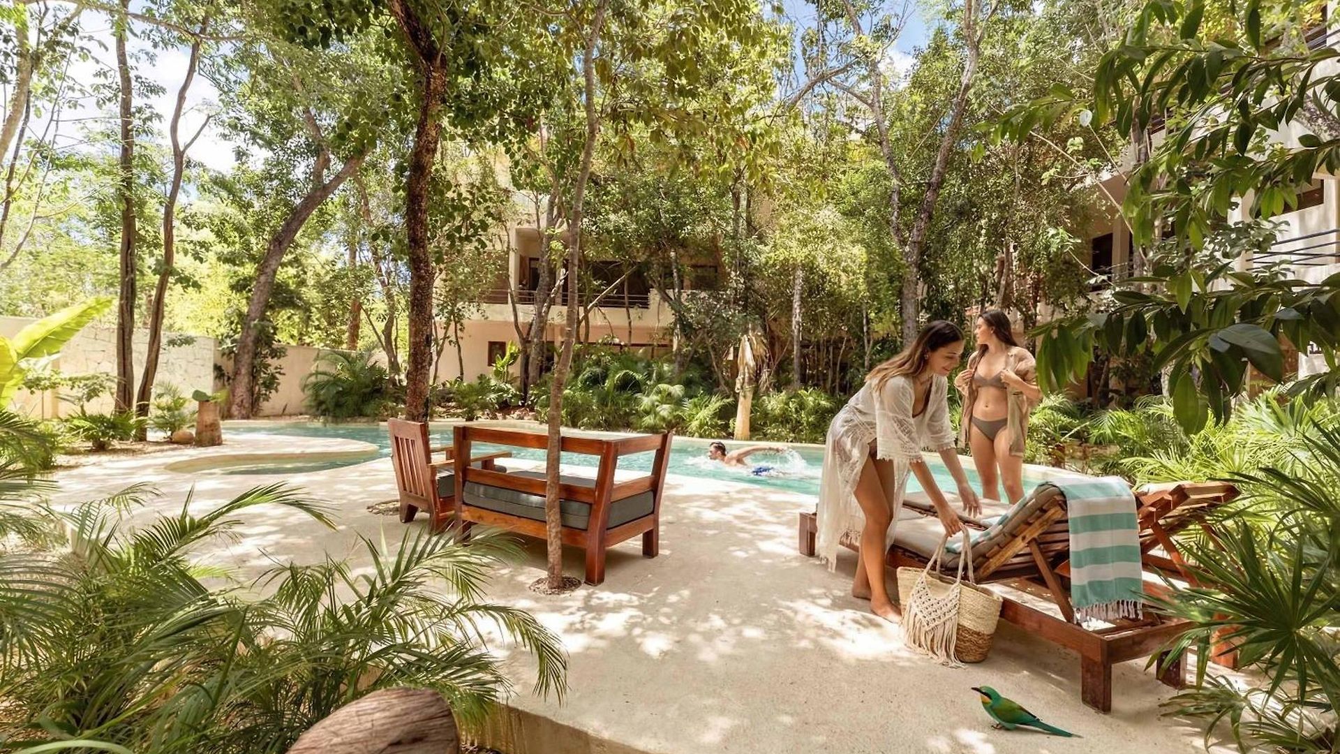 Stylish Ground-floor 3br Haven With Luxe Plunge Pool Holiday home *