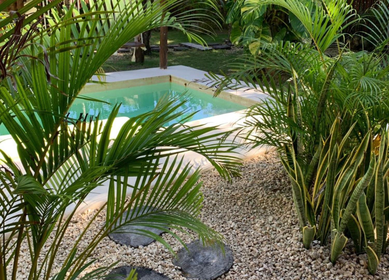 Casa Calu Cozy & Confortable Jungle House With Pooll *