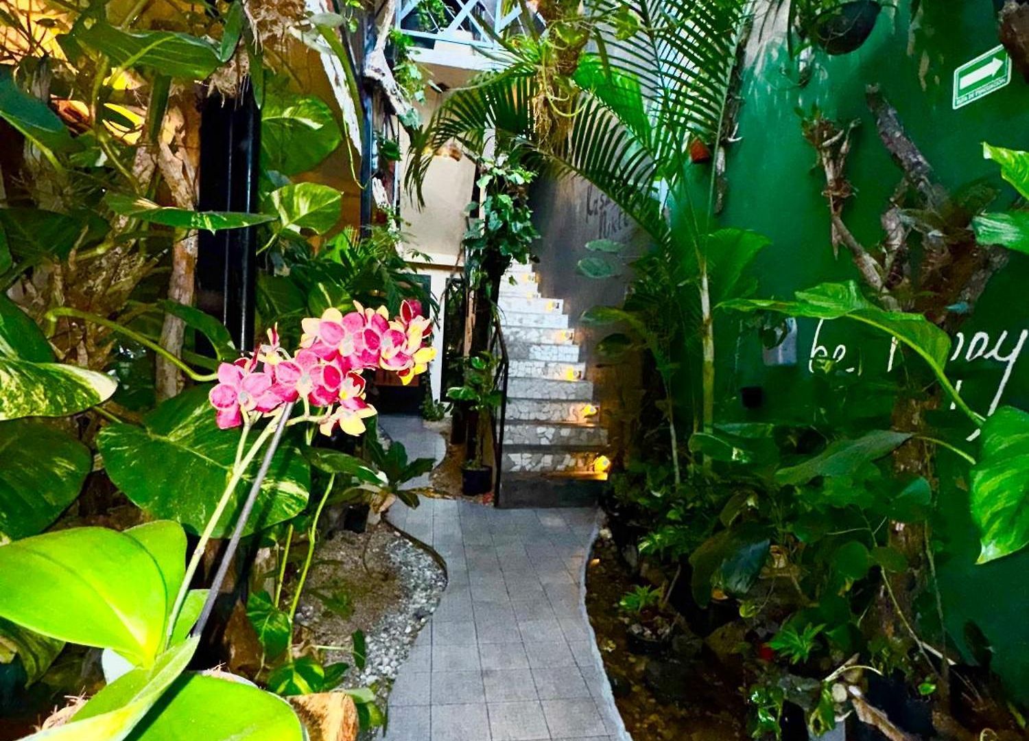 Kasa Nikte * Tulum