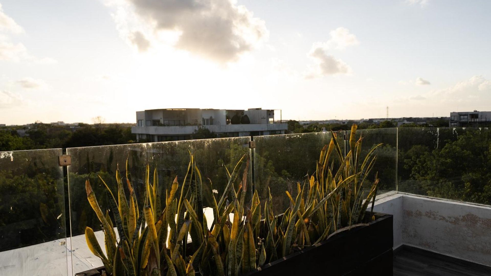 Apartment Magical 2 Penthouses & With 2 Private Pools And Jacuzzi *