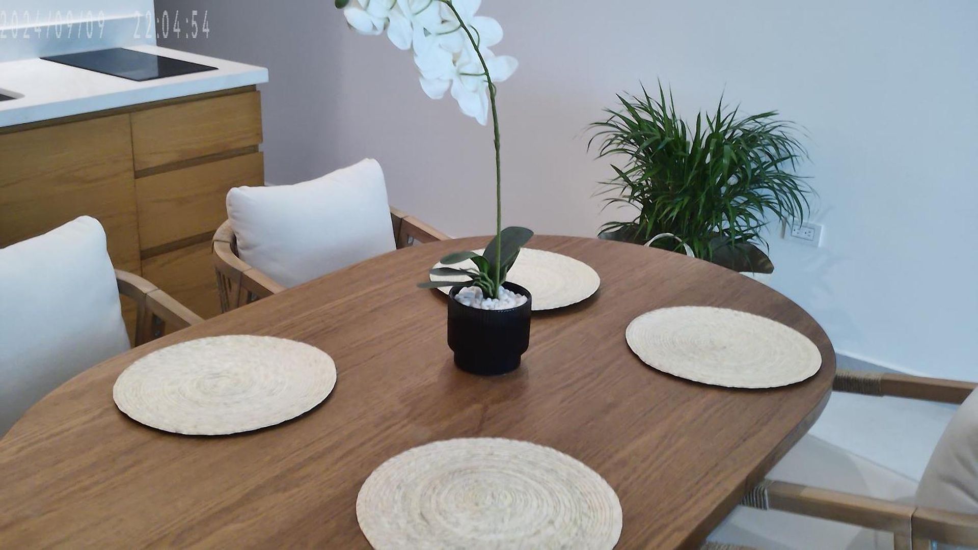 Apartamento Eco-friendly Loft 2 By Ednna