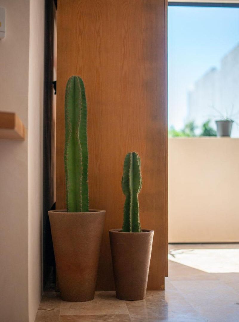 Apartamento A Sweet Jungle In Aldea Zama Tulum