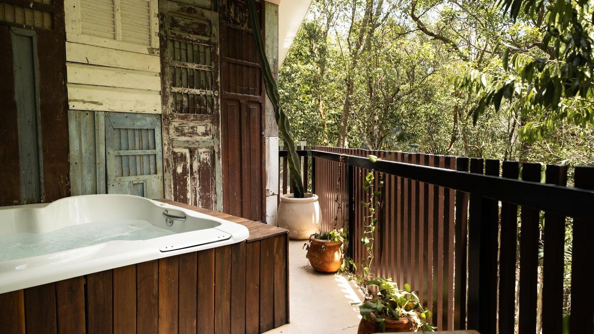 Magical Jacuzzi At Jungle 