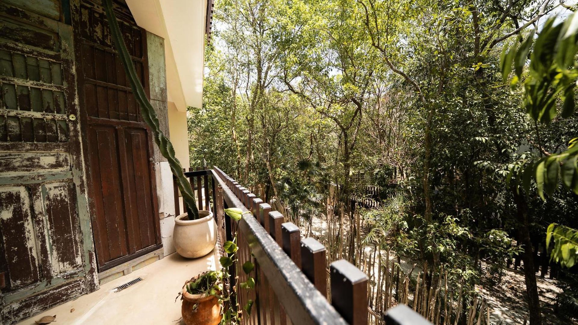 Apartment Magical Jacuzzi At Jungle 