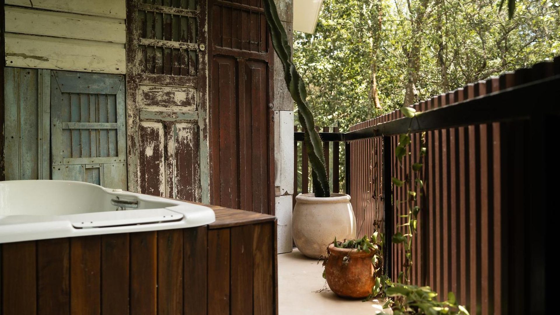 Magical Jacuzzi At Jungle 