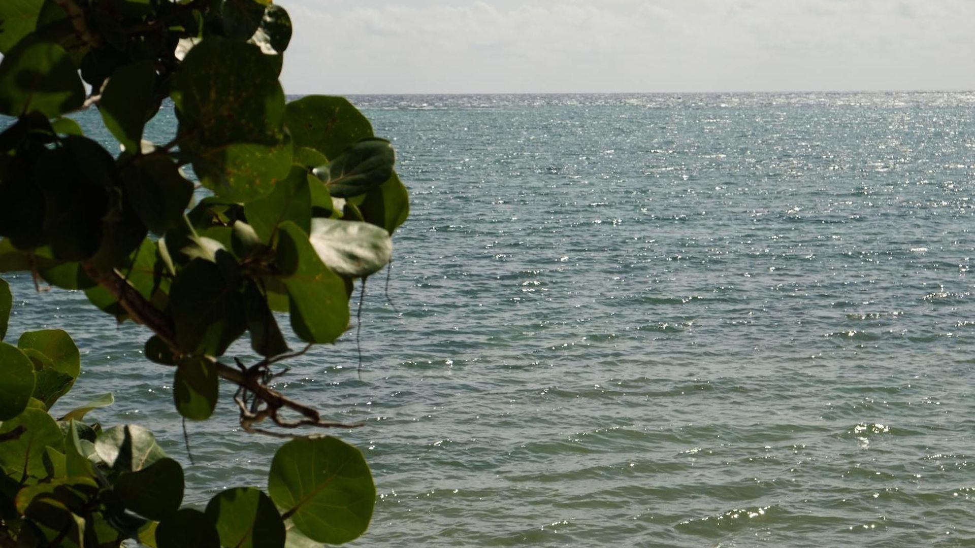Kaoba Oceanfront Residences * Tulum