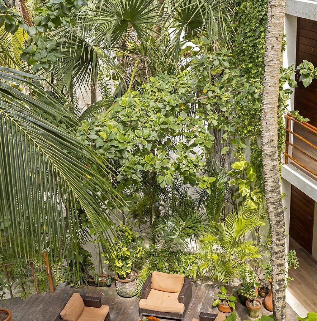 Hotel Arrecifes Tulum