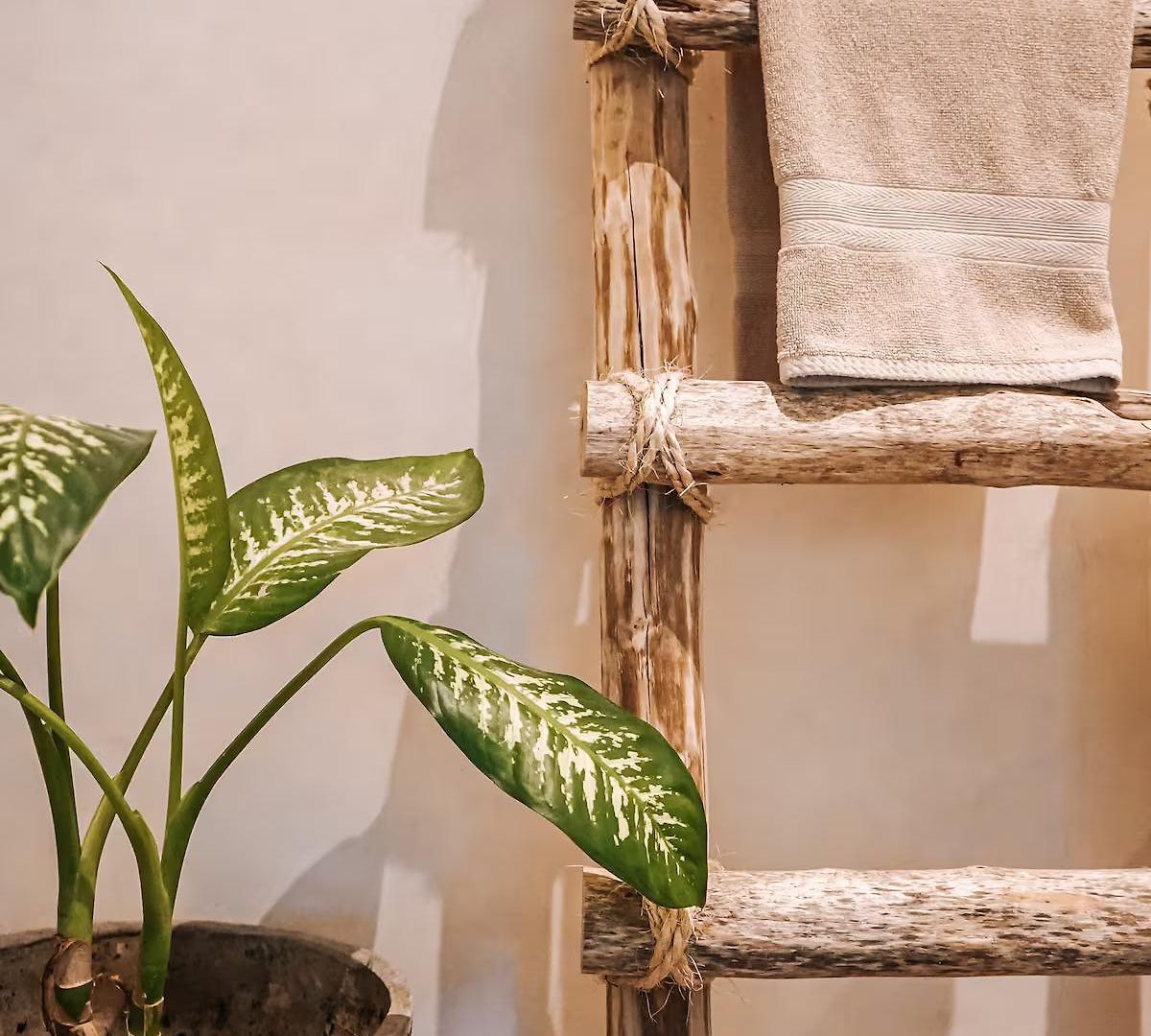 Casa Tira - Your Luxury Jungle Mansion In Villa *