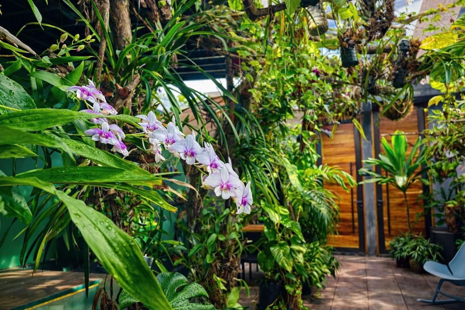 Kasa Nikte Apartamento Tulum