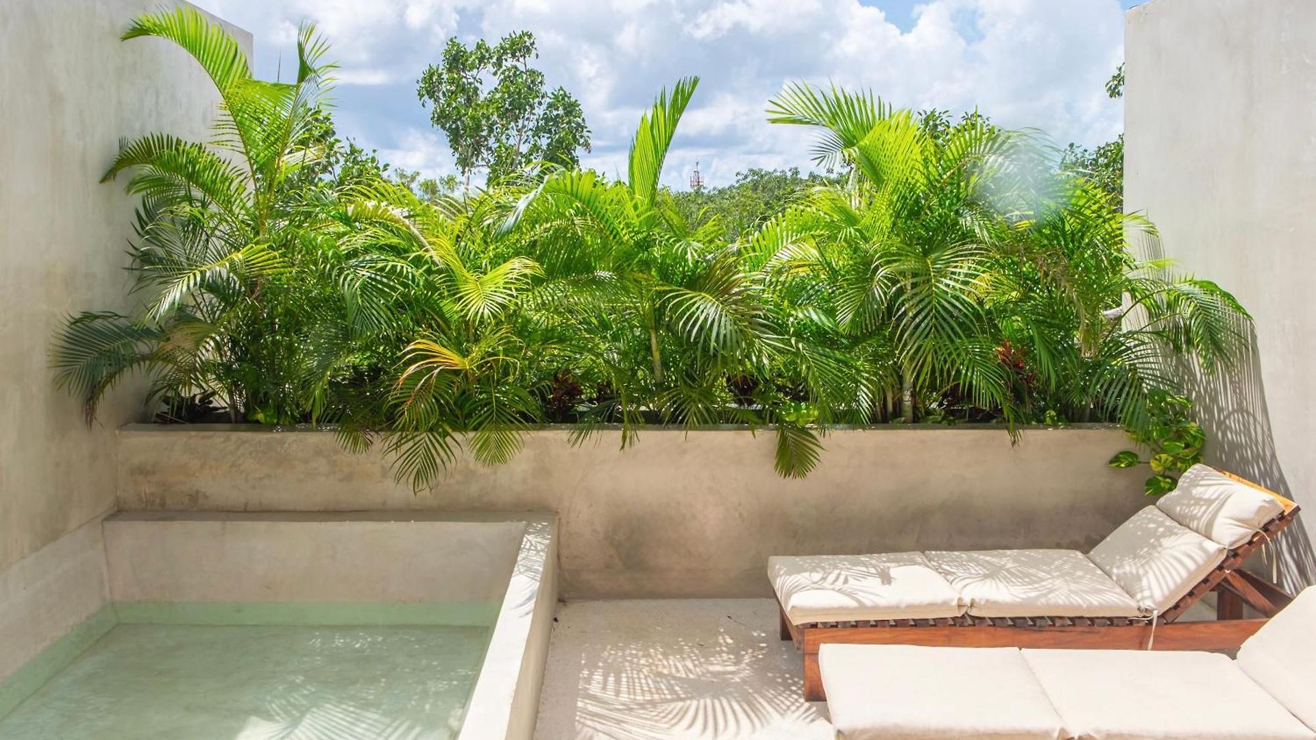 Apartamento Jungle Ph Private Rooftop & Plunge Pool Ac Wifi *
