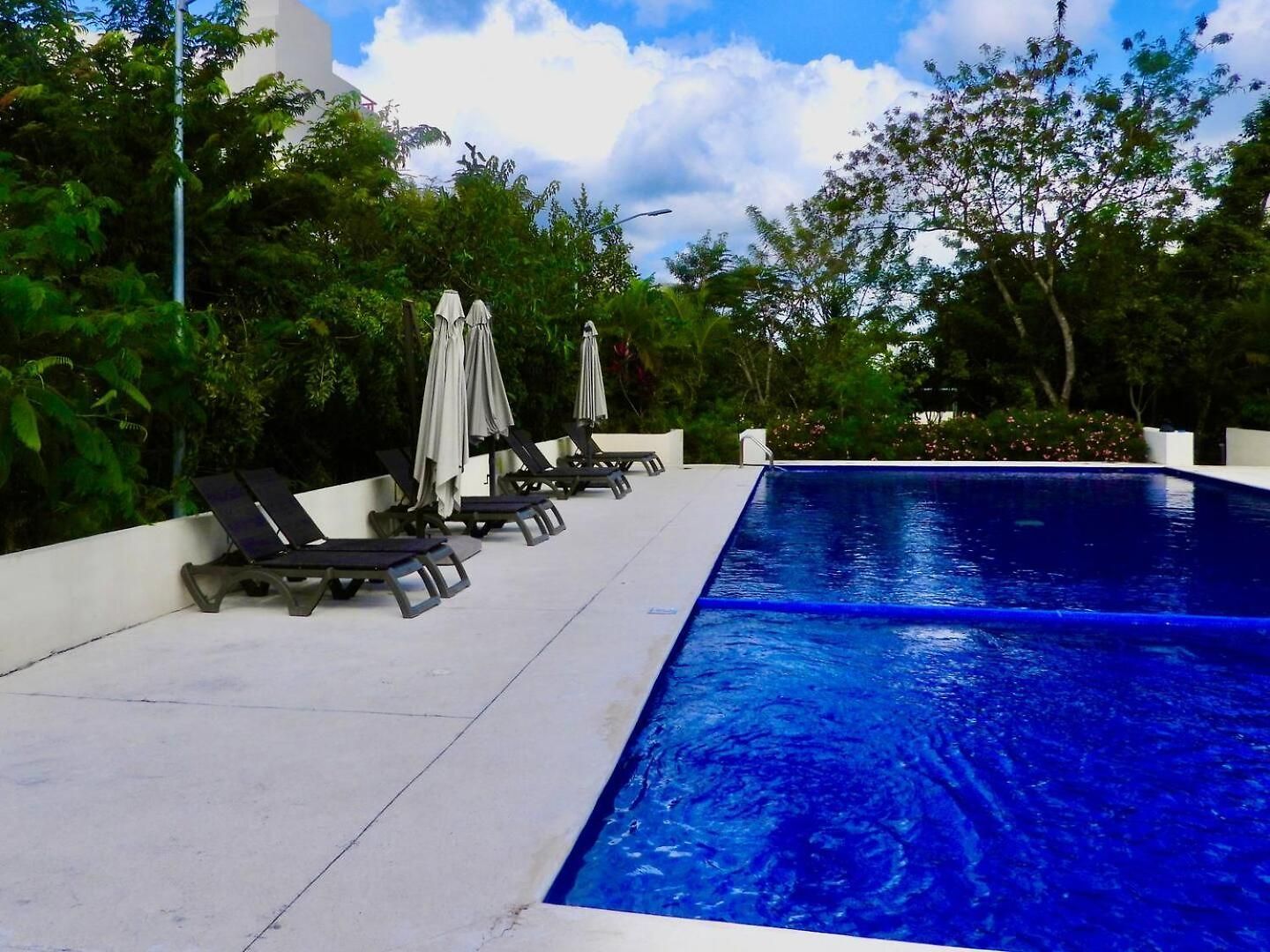 New! Jungle Chic Retreat In Aldea Apartamento *