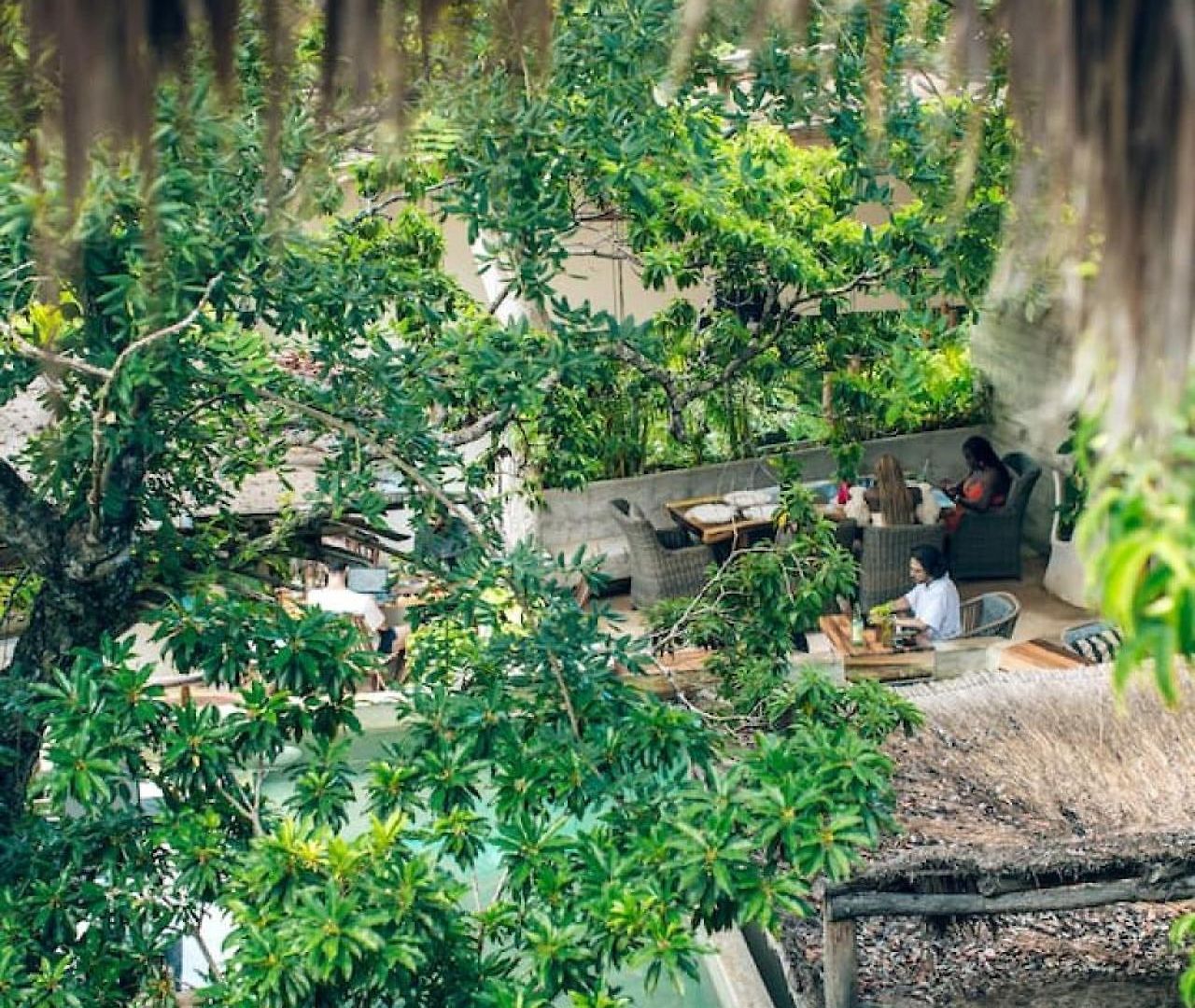 Jungle Sanctuary Wellness Retreat W Pool Bar *
