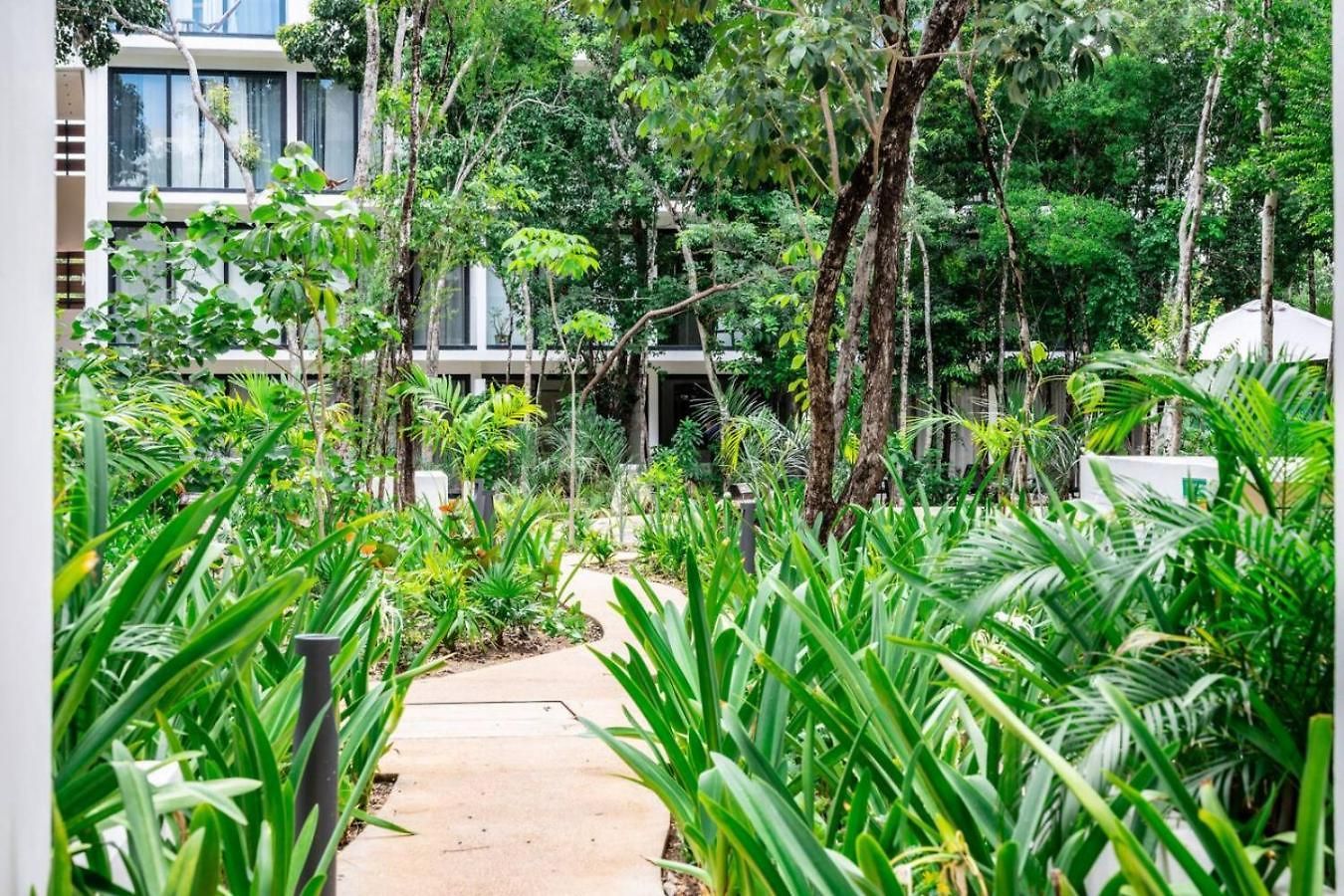 Stylish 1bd Retreat With Swim-up Pool Tulum