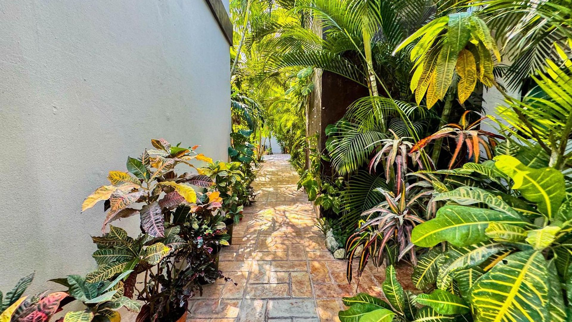 Casa Guadalupe *